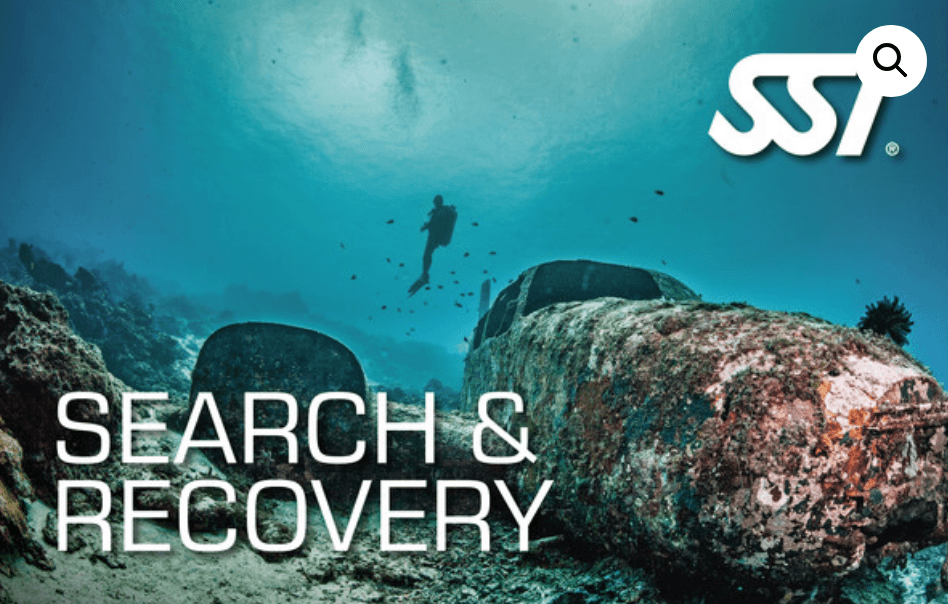Search and Recovery (SSI)