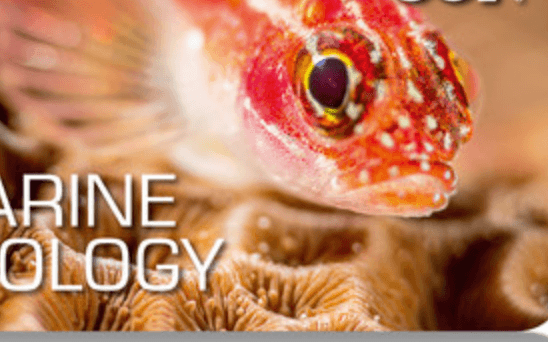 Marine Ecology (SSI) - Image 2