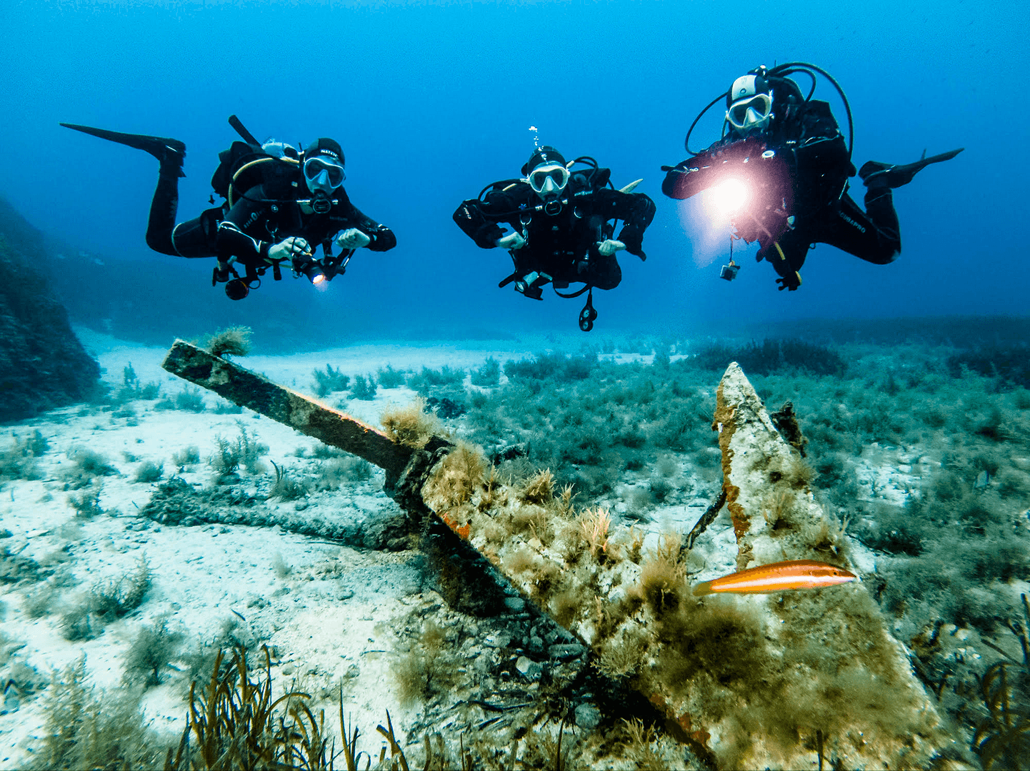 Scuba Skills Update – Refresh Dive