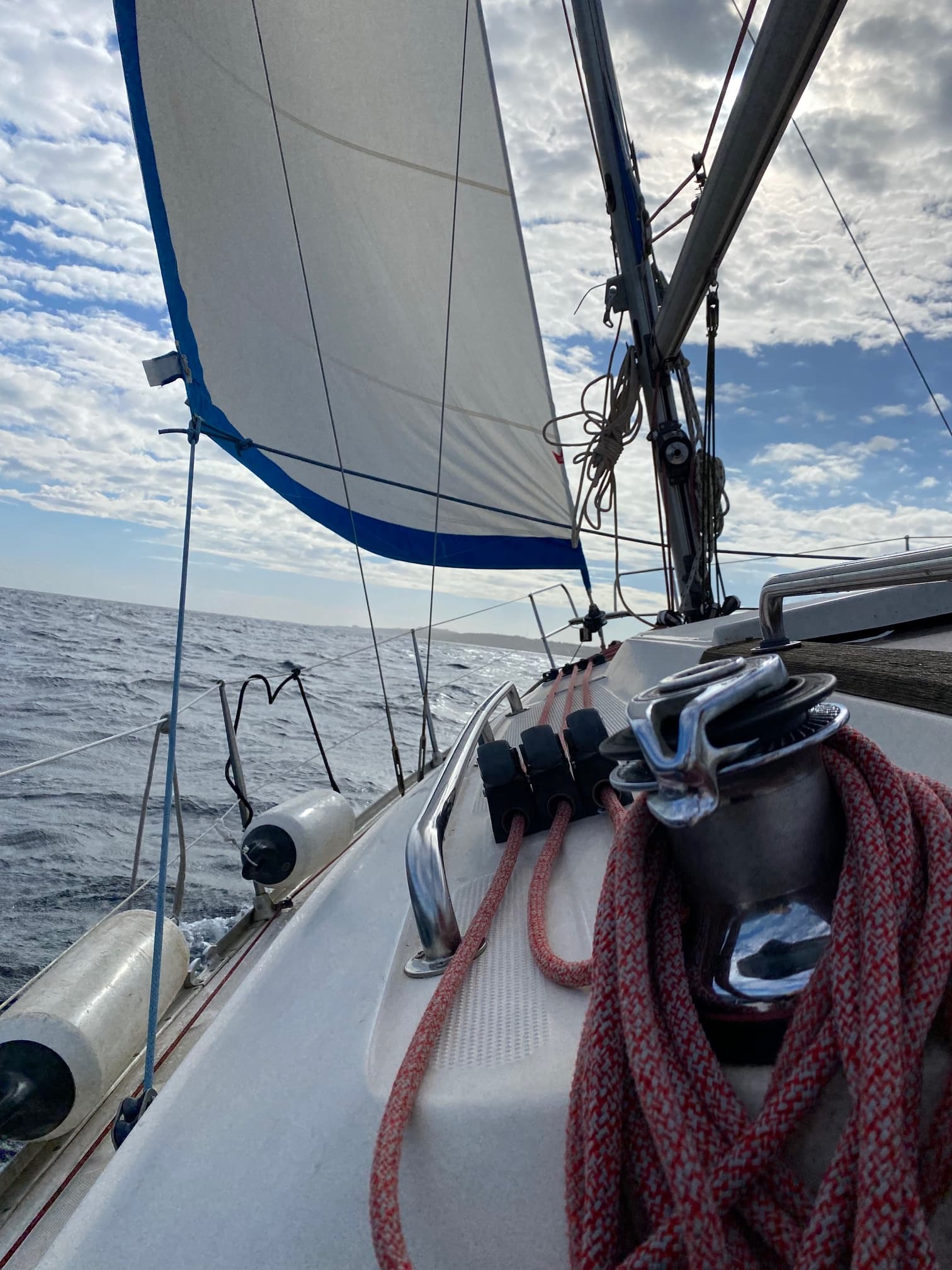 Sail, Learn, and Fish - Calm Waters, Real Practice - Image 2