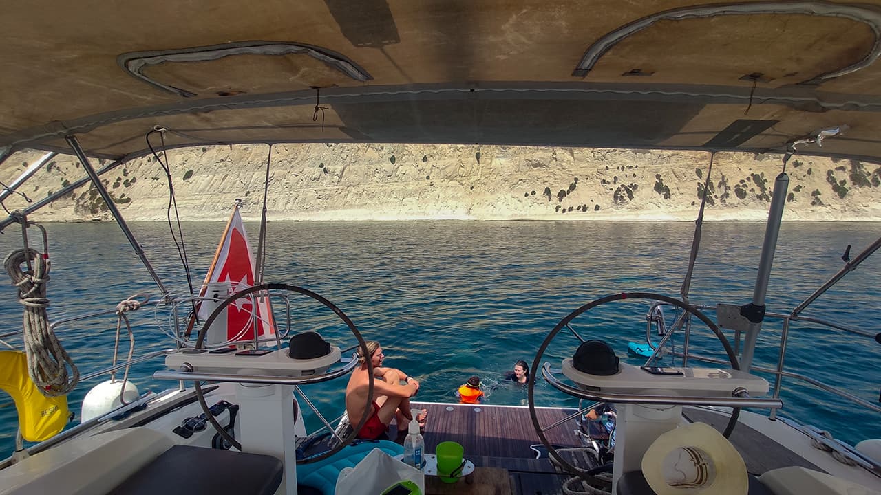 Private Marine Life Spotting Experience - Image 2