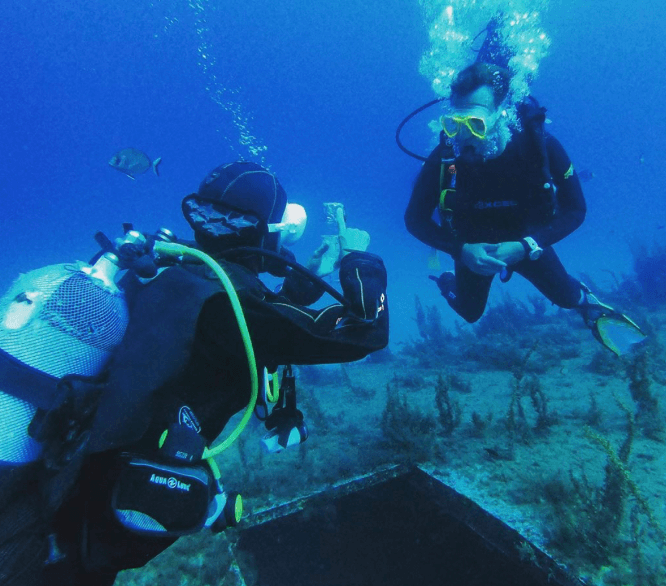 Scuba Diver (PADI / SSI) - Image 2