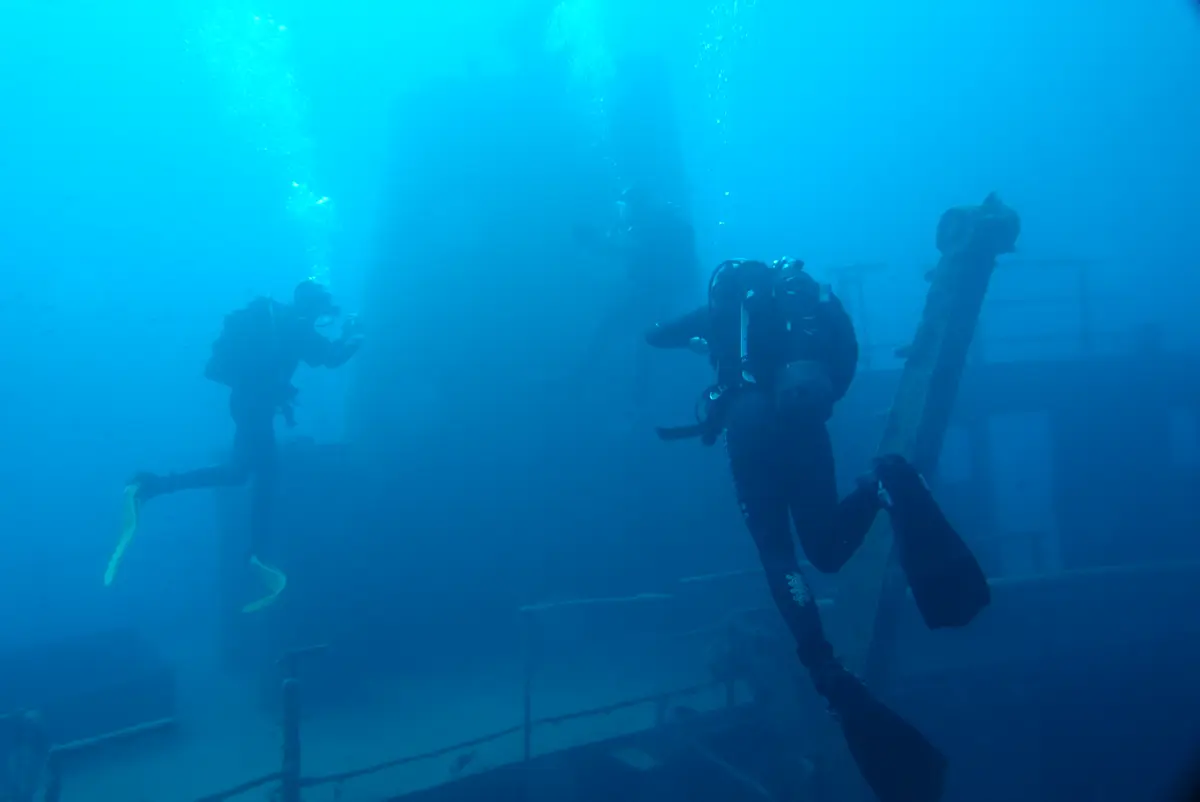 Fun Diving (Incl. Equipment) - Image 3