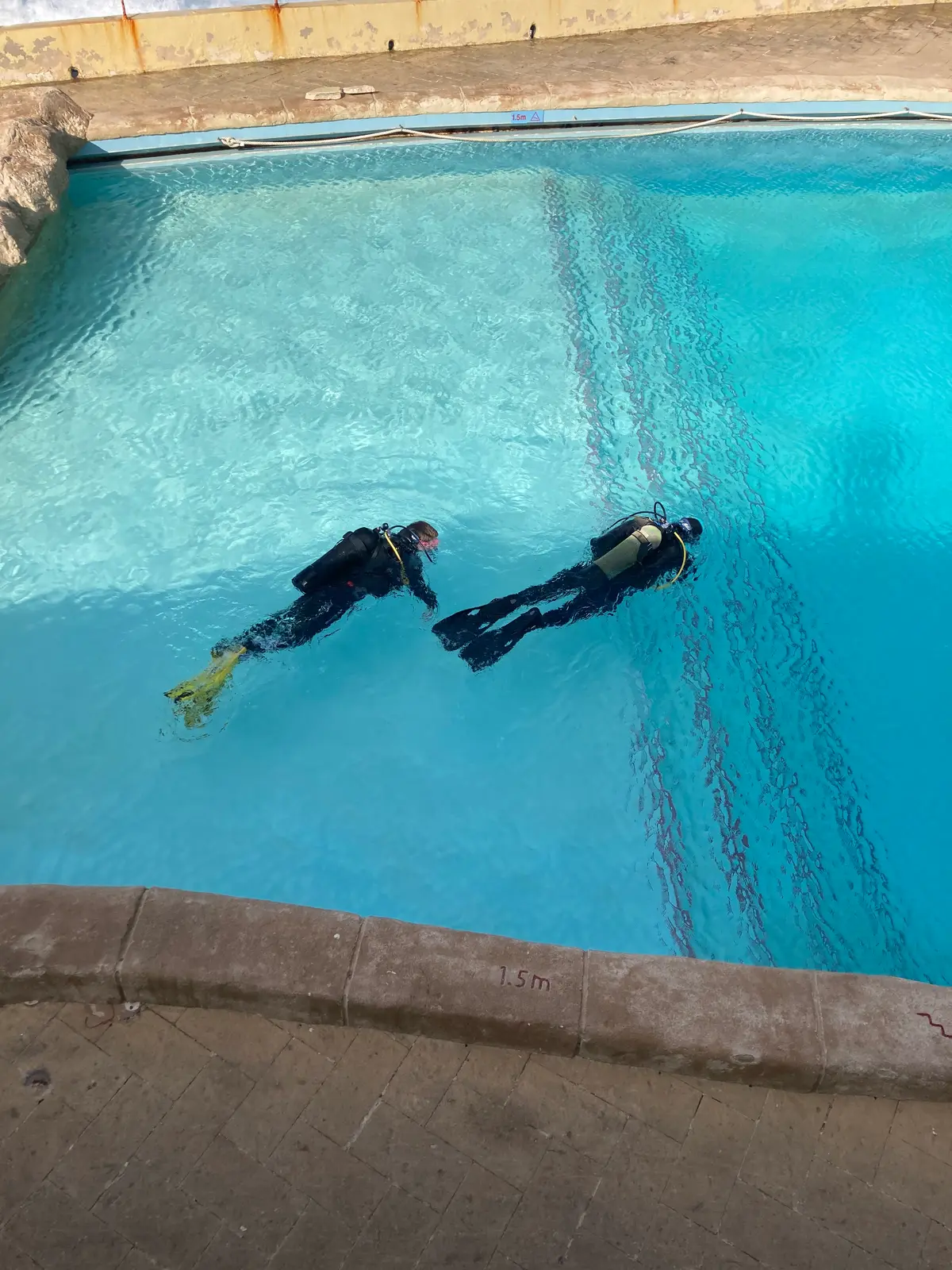 Discover Scuba Diving / Try Scuba Diving / Basic Diver 6